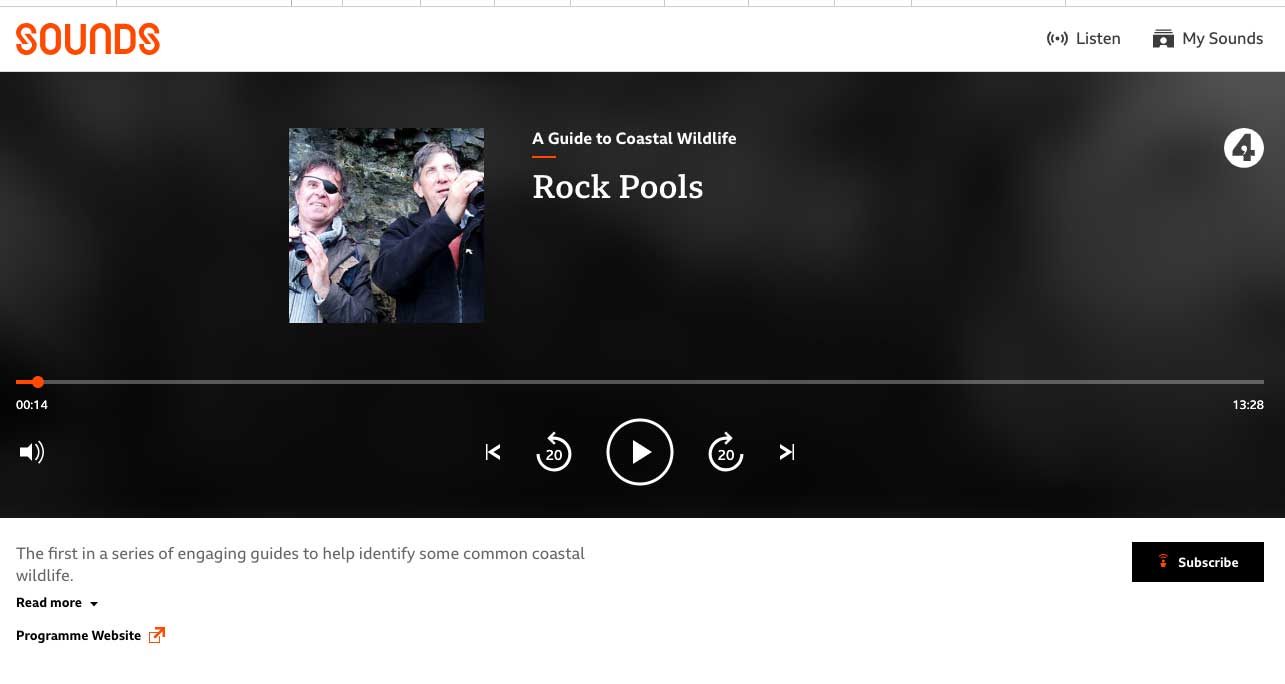 example of a web podcast player