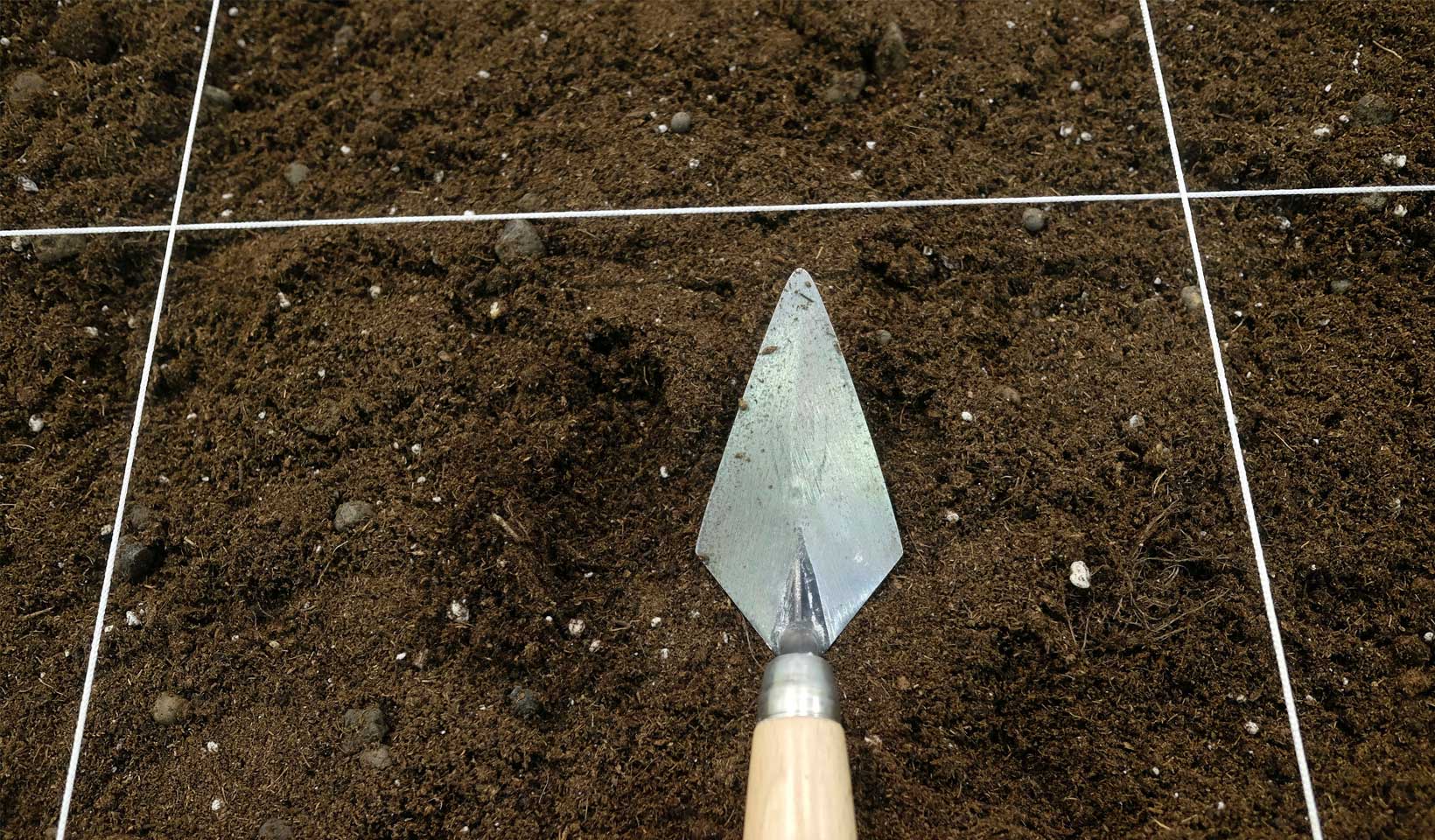 Get involved in archaeology digs