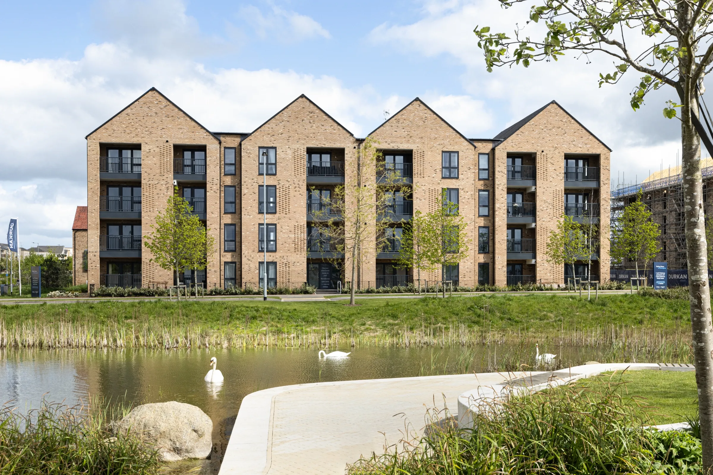 Durkan Homes at Wintringham St Neots in front of water with swans