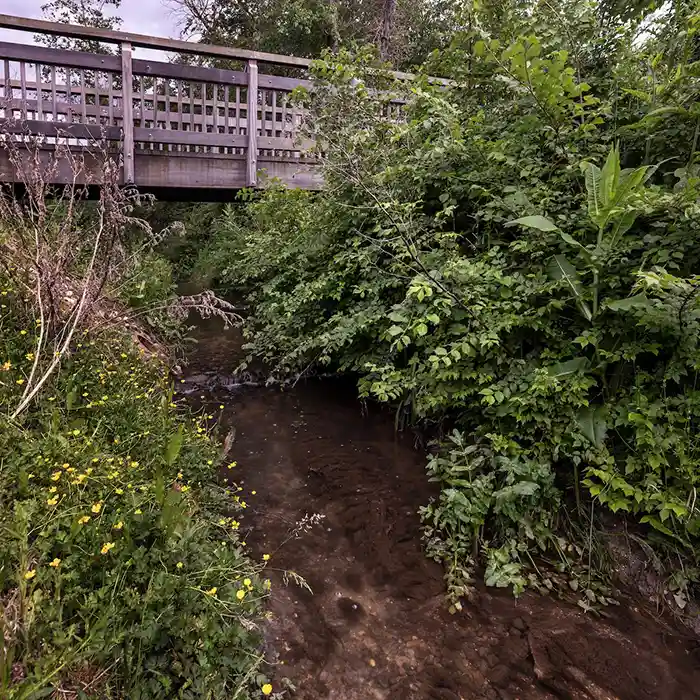 Wintringham Brook