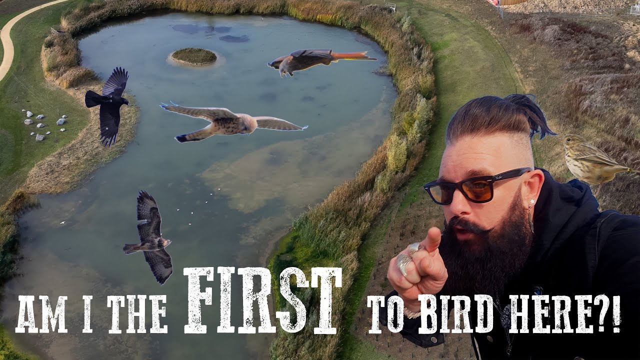 Featured image for “Rocking around Wintringham Waters”