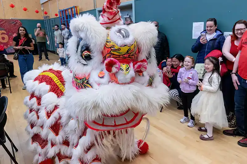 Dragon costume performance