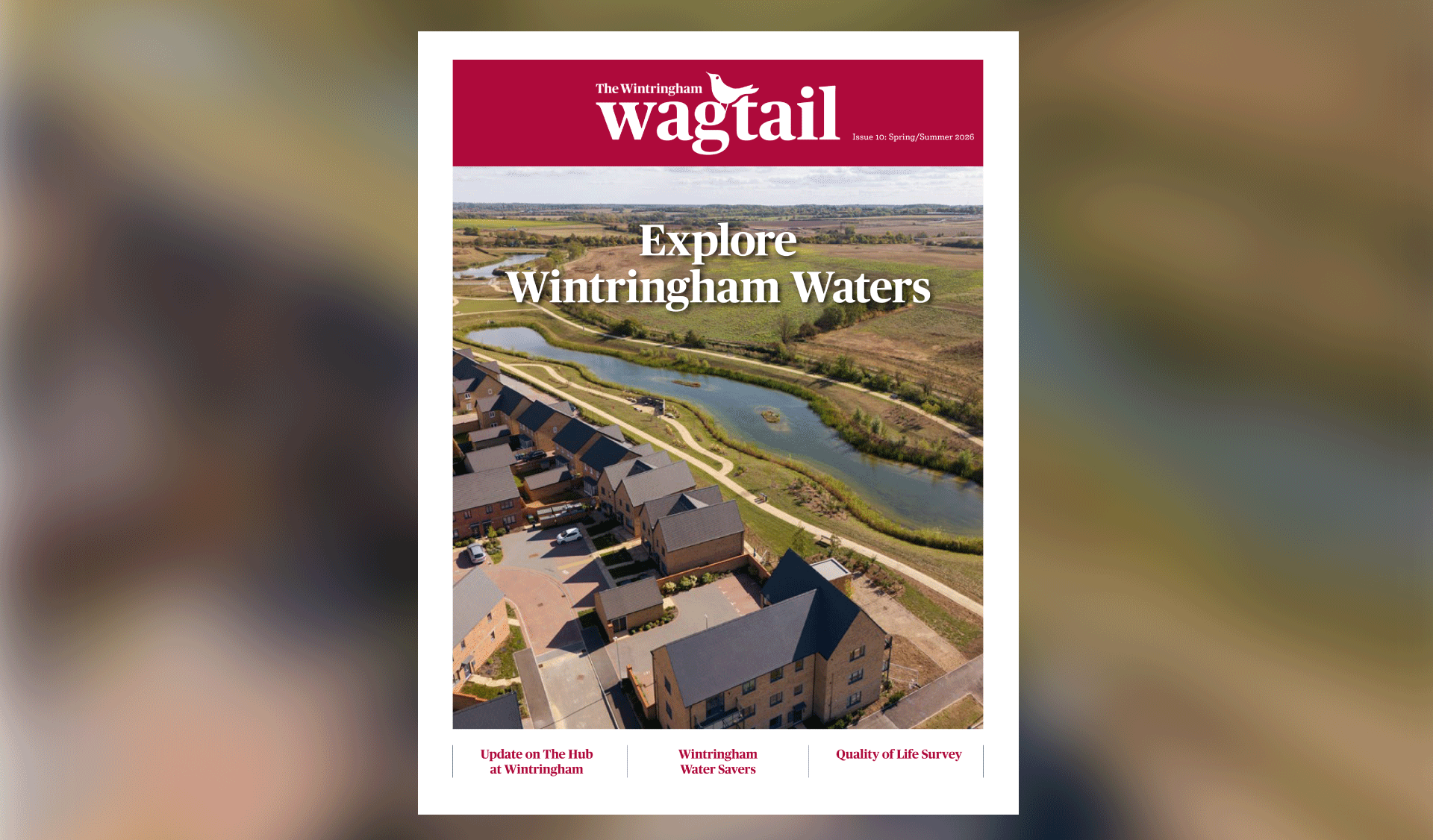 Featured image for “The Wintringham Wagtail Newsletter Spring 2026”