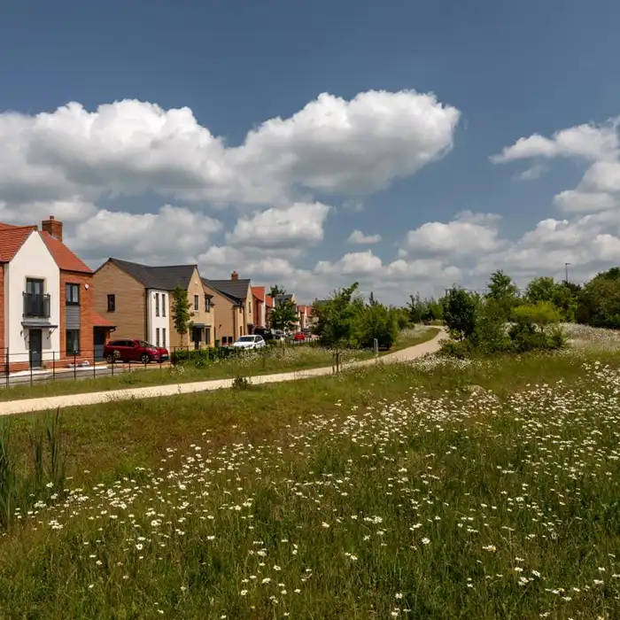 Wildflower meadow and footpath alongside new-build homes on a housing development
