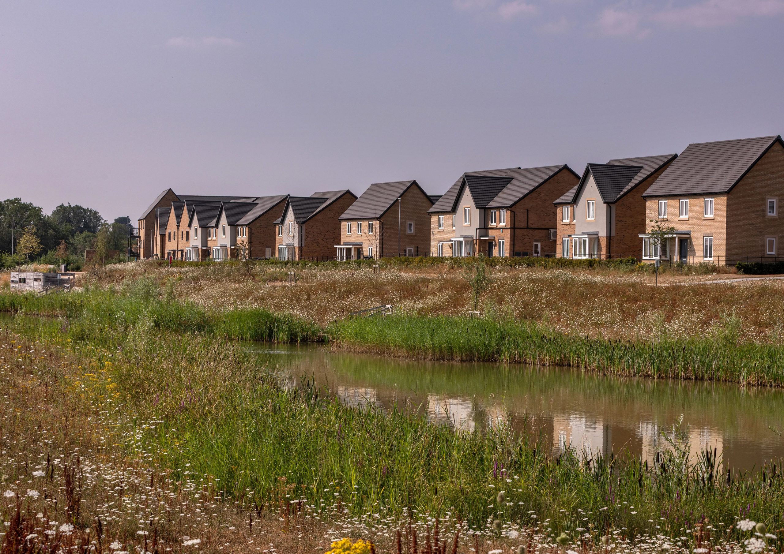 Homes